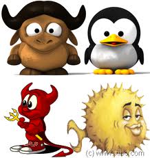 Linux与BSD的区别到底在哪里？